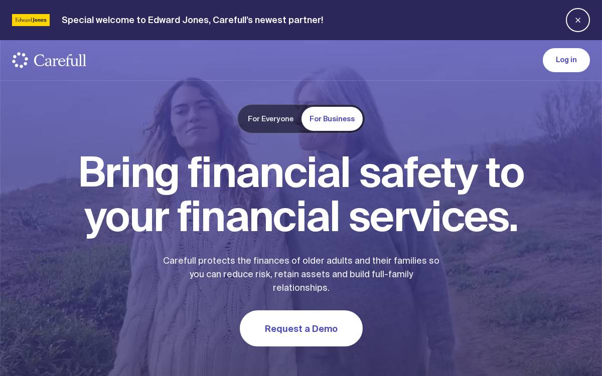 Carefull website preview