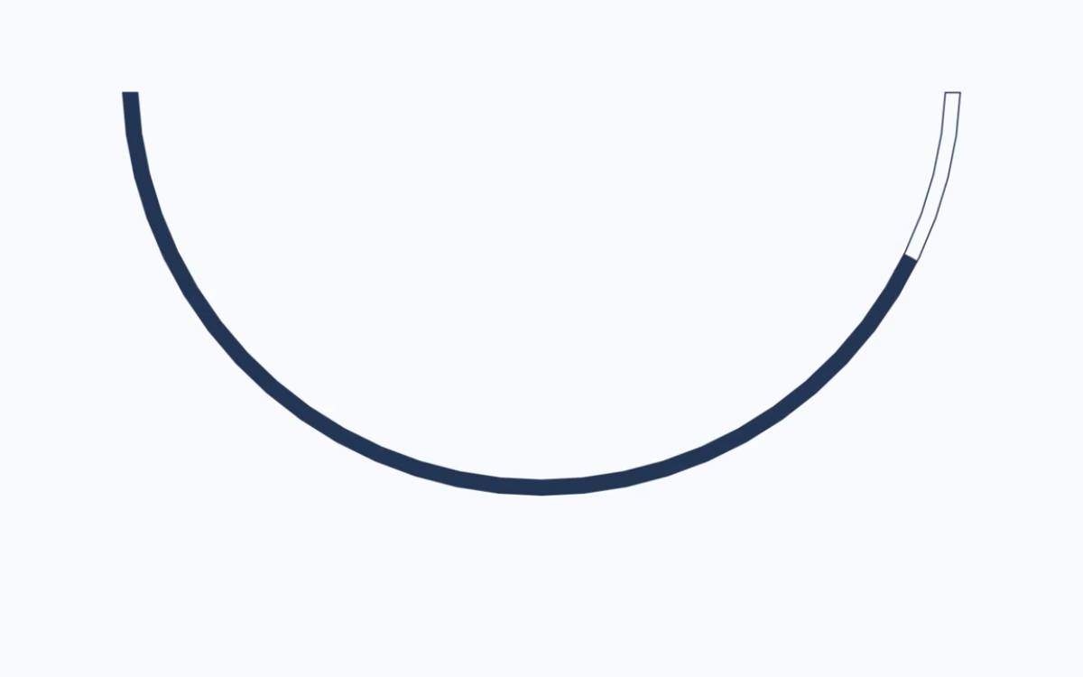 Carisma website preview
