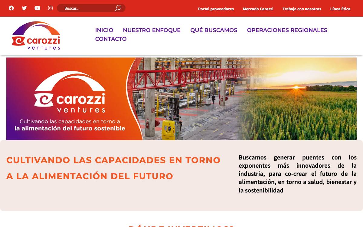 Carozzi Ventures website preview