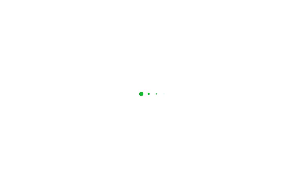CashBUS website preview