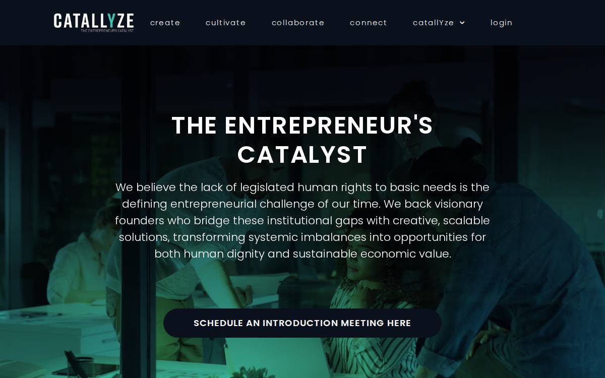 Catallyze website preview