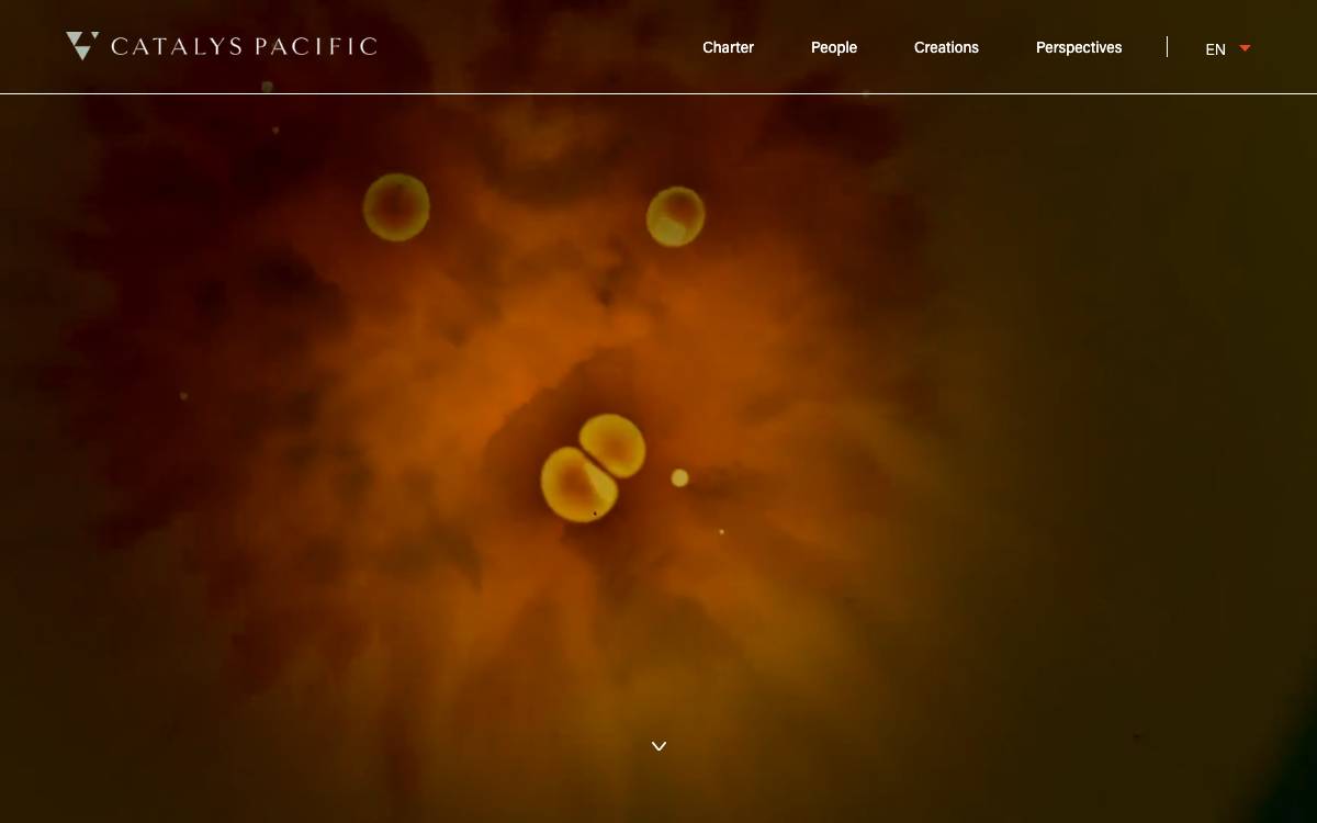 Catalys Pacific website preview