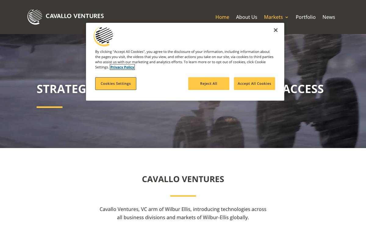 Cavallo Ventures website preview