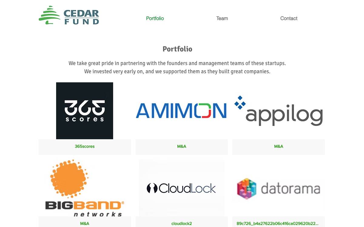 Cedar Fund website preview
