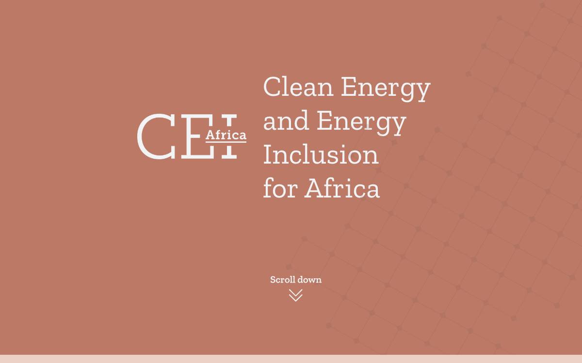 CEI Africa website preview