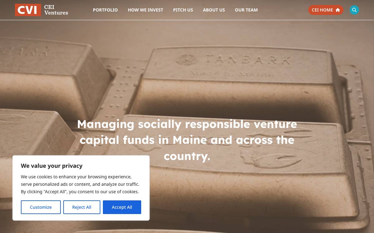 CEI Ventures website preview