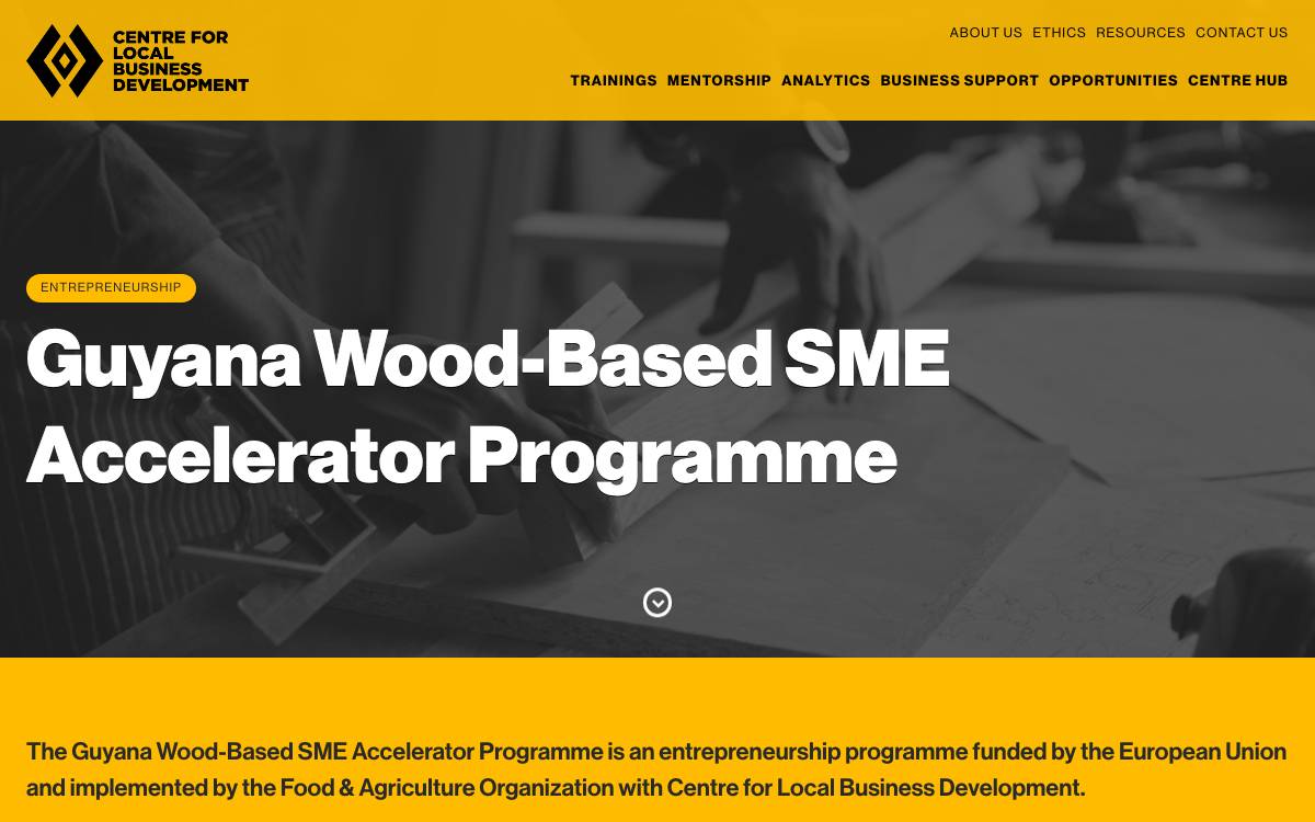 Centre for Local Business Development – entrepreneurship accelerators website preview