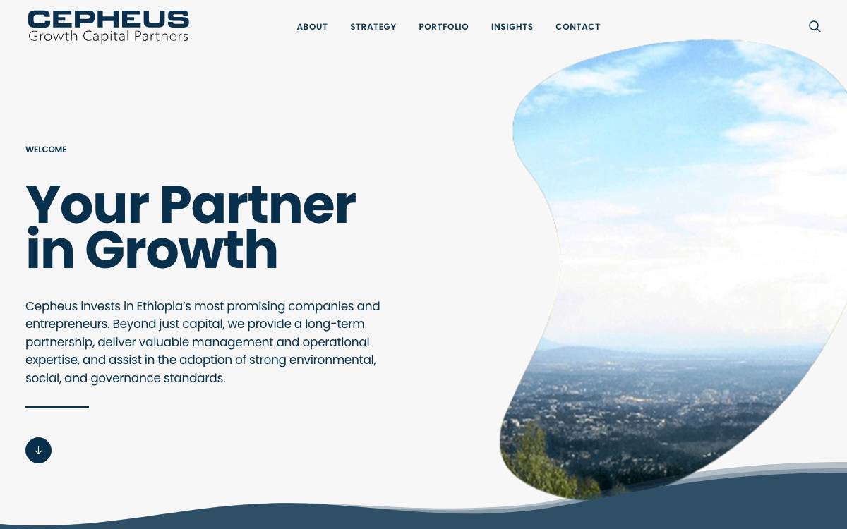 Cepheus Capital website preview
