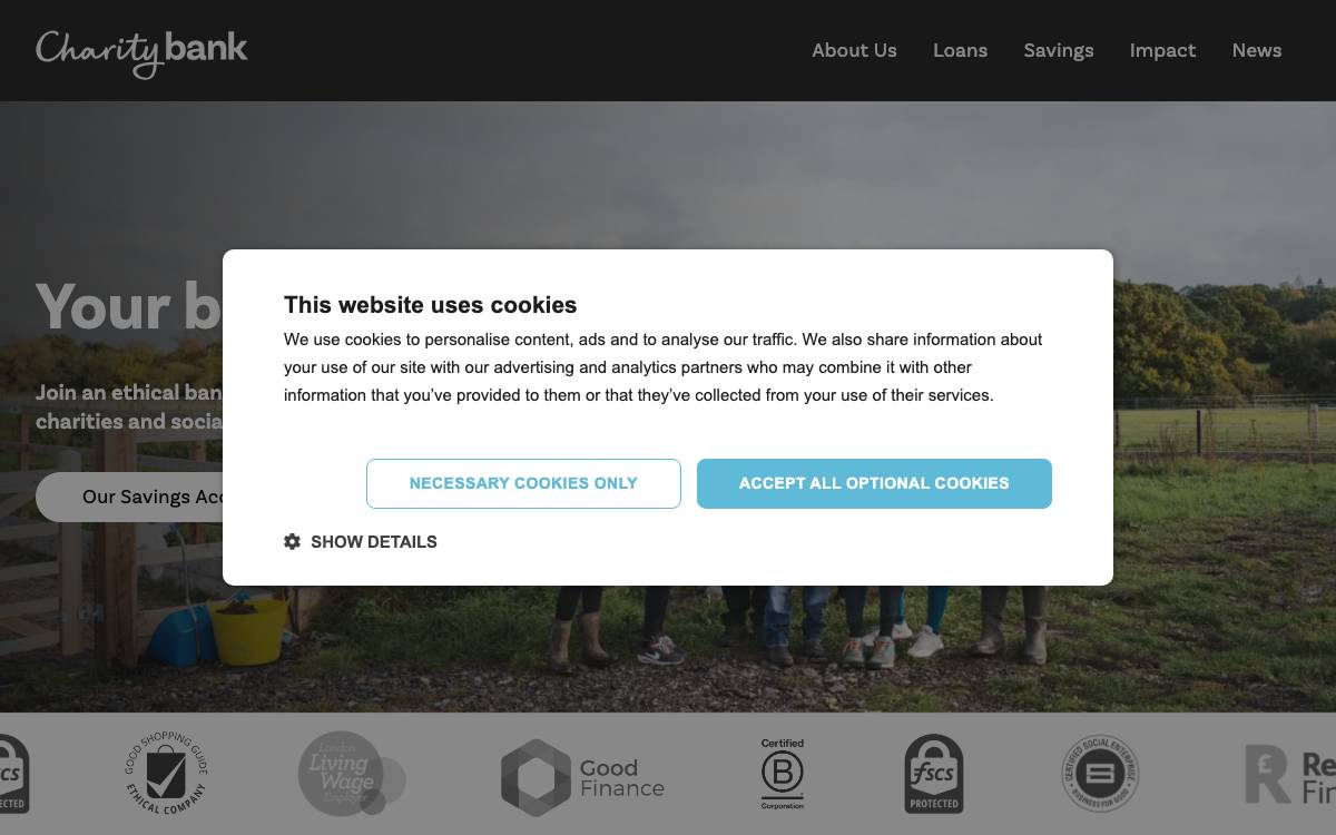 Charity Bank website preview