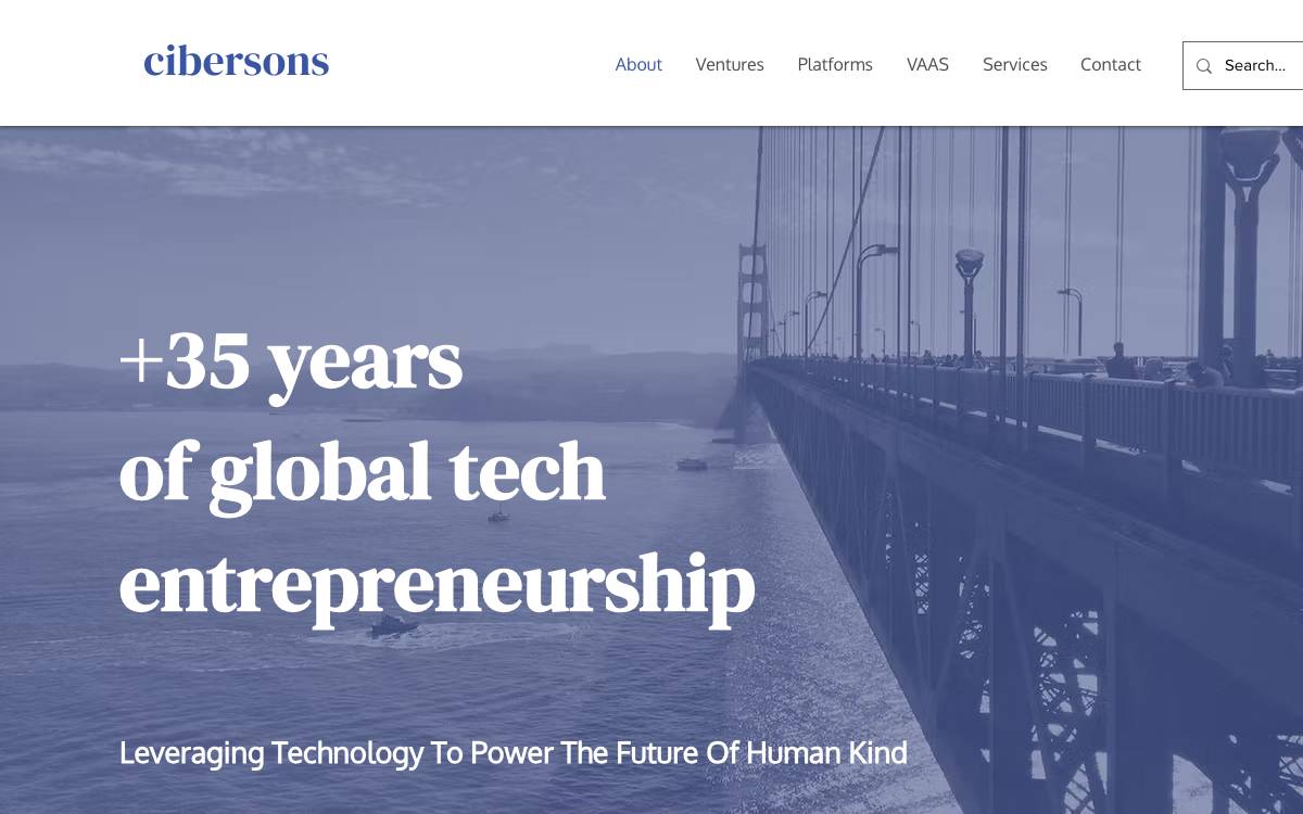 Cibersons website preview