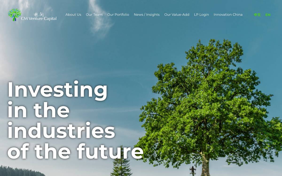Cm Venture website preview