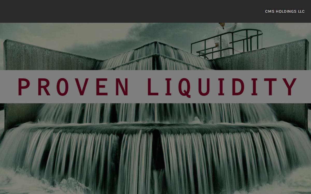 CMS Holdings website preview