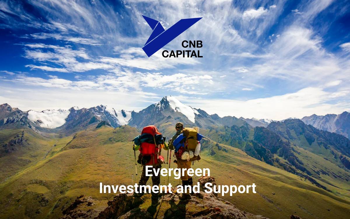 CNB Capital website preview