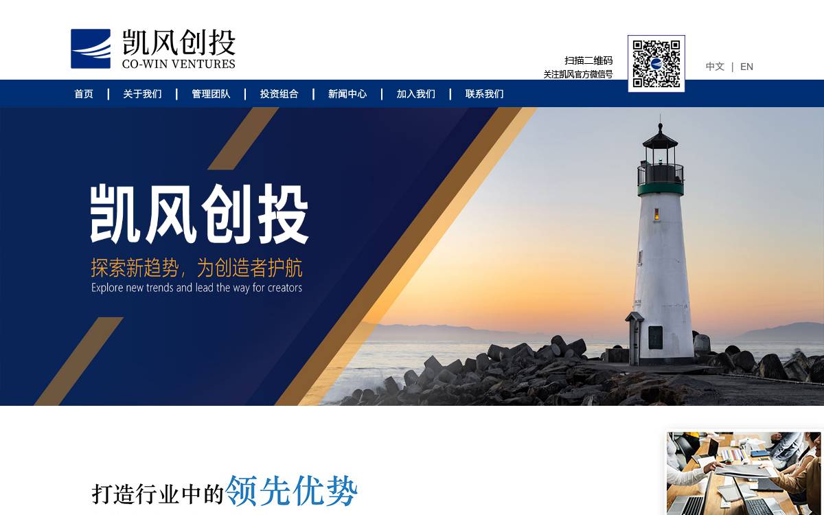 Co-Win Ventures website preview