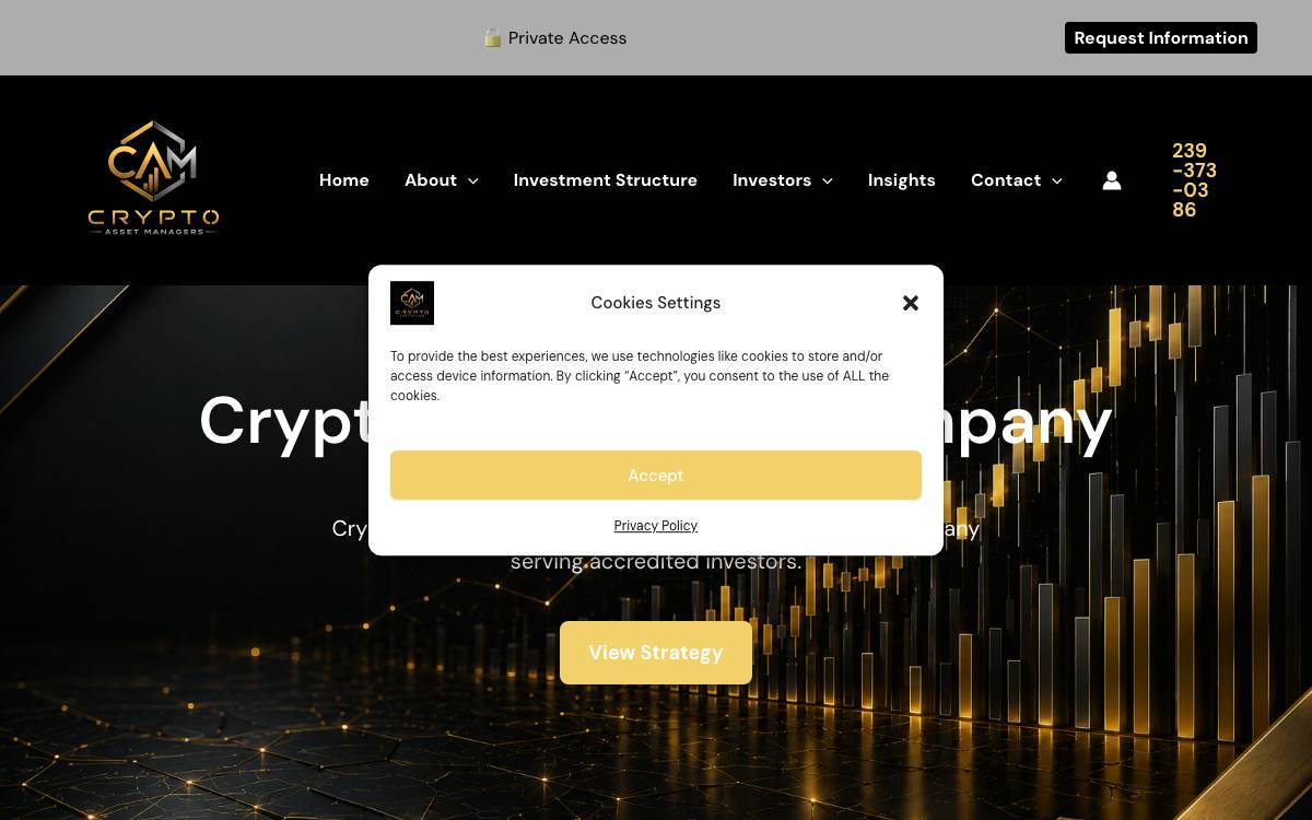 Coinful Capital website preview