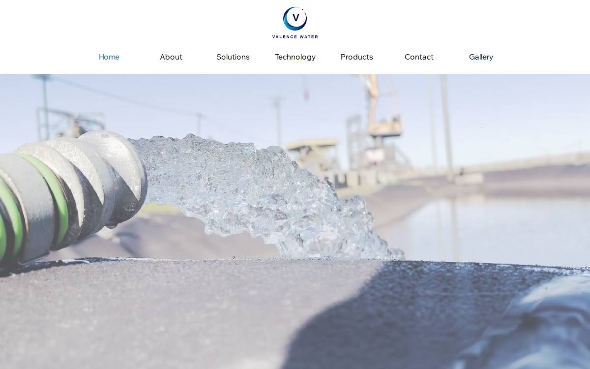 017_companies_BWT website preview
