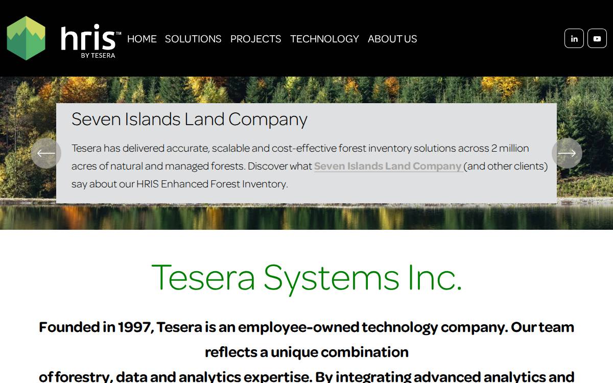 071_companies_TES website preview