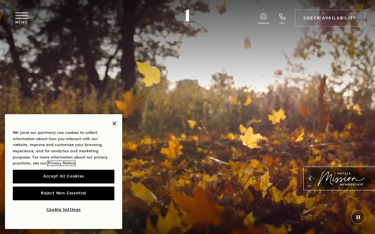 1 Hotels website preview