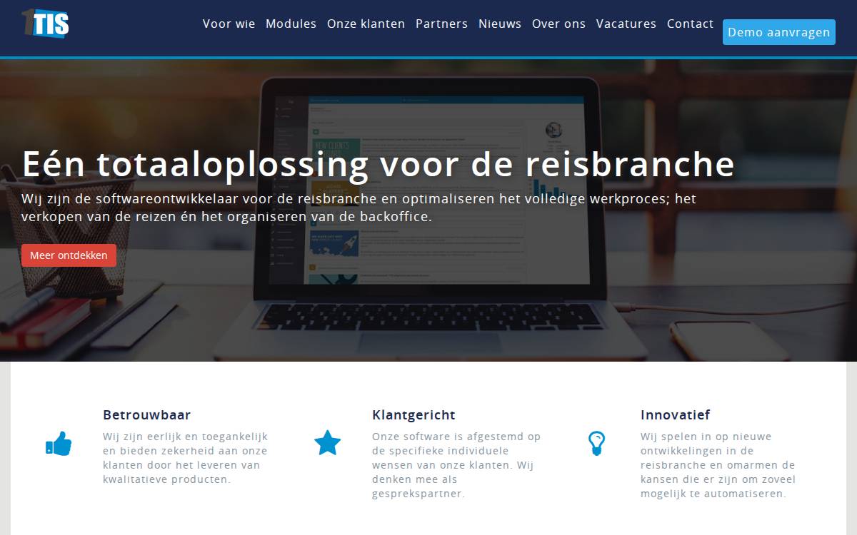 1TIS website preview
