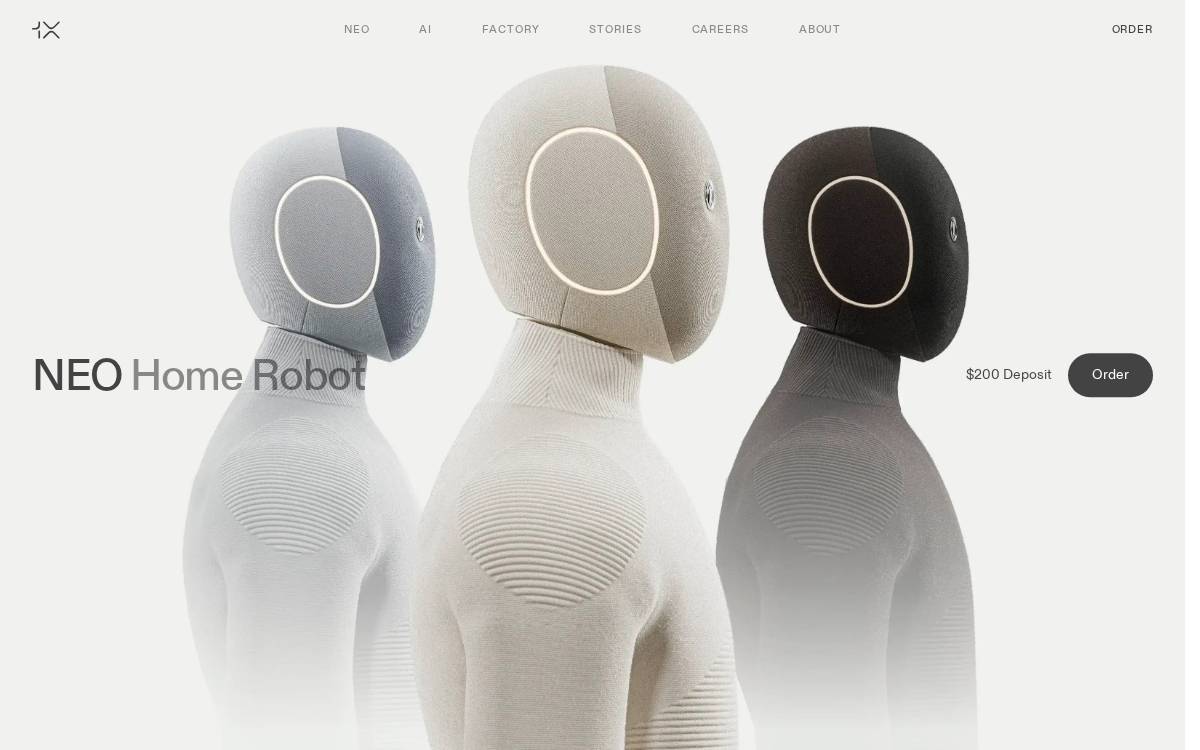 1X Technologies website preview