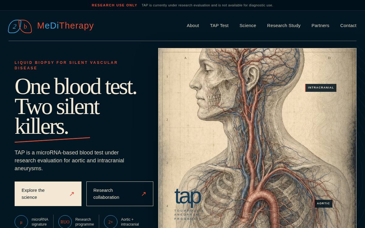 2bull MeDiTherapy website preview