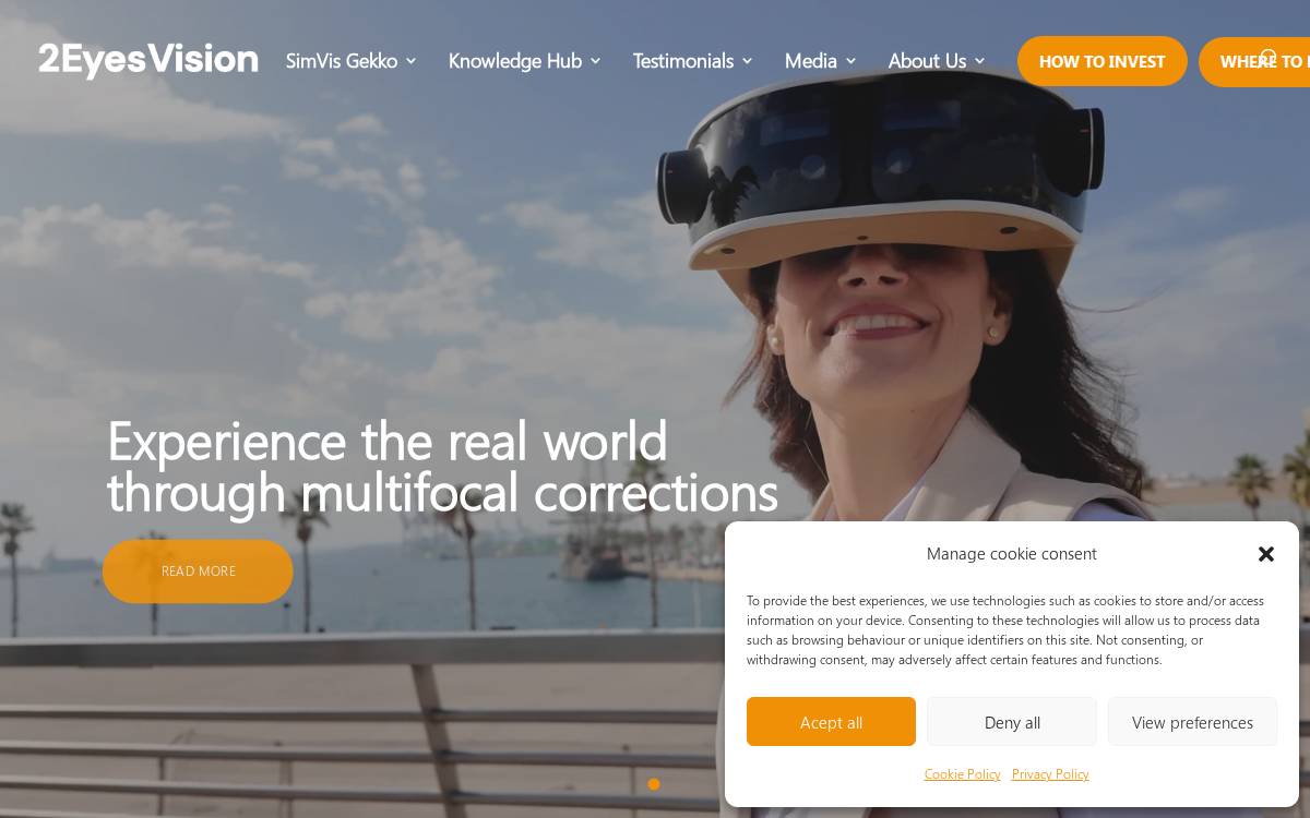 2eyesVision website preview