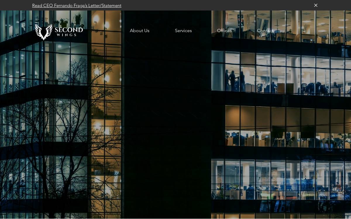 2Ndwings website preview