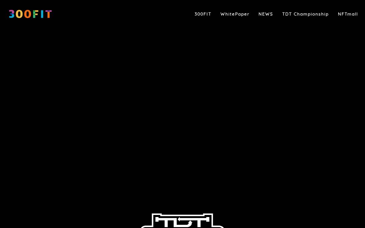 300FIT www.300fit.io website preview