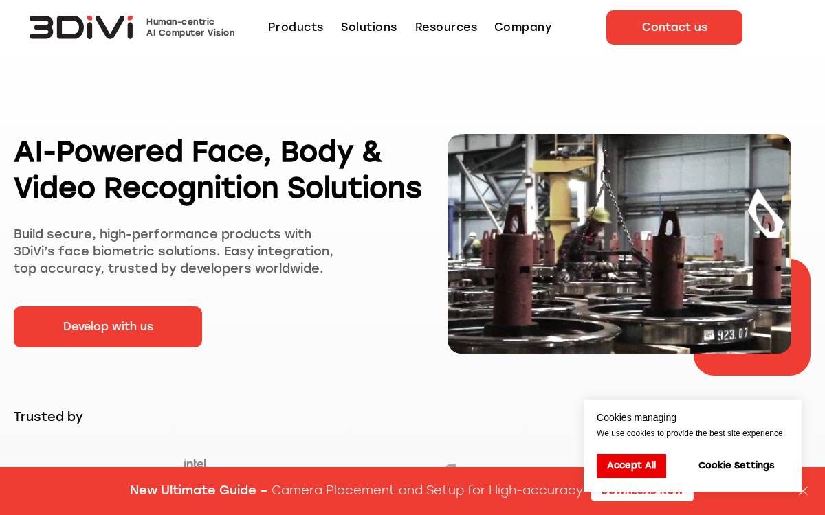 3Divi website preview