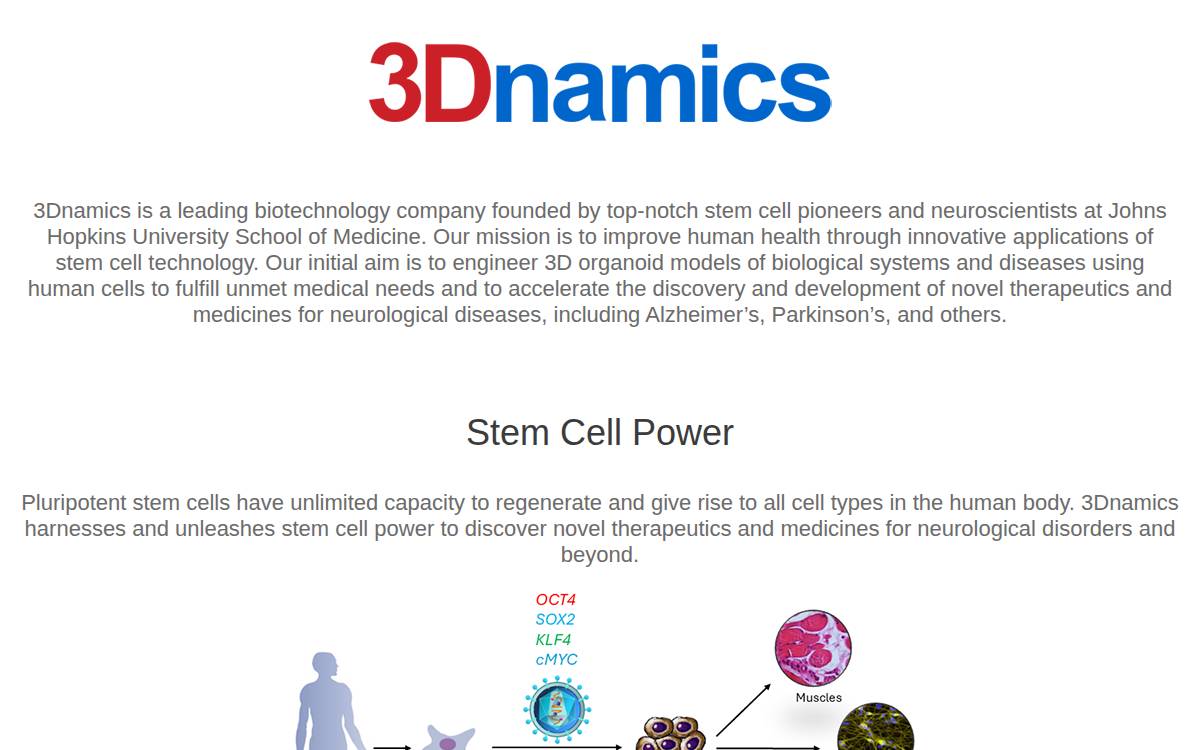 3Dnamics website preview