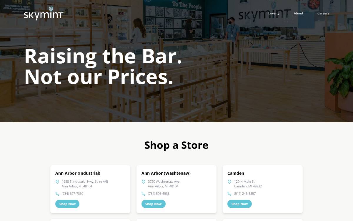 3Fifteen website preview
