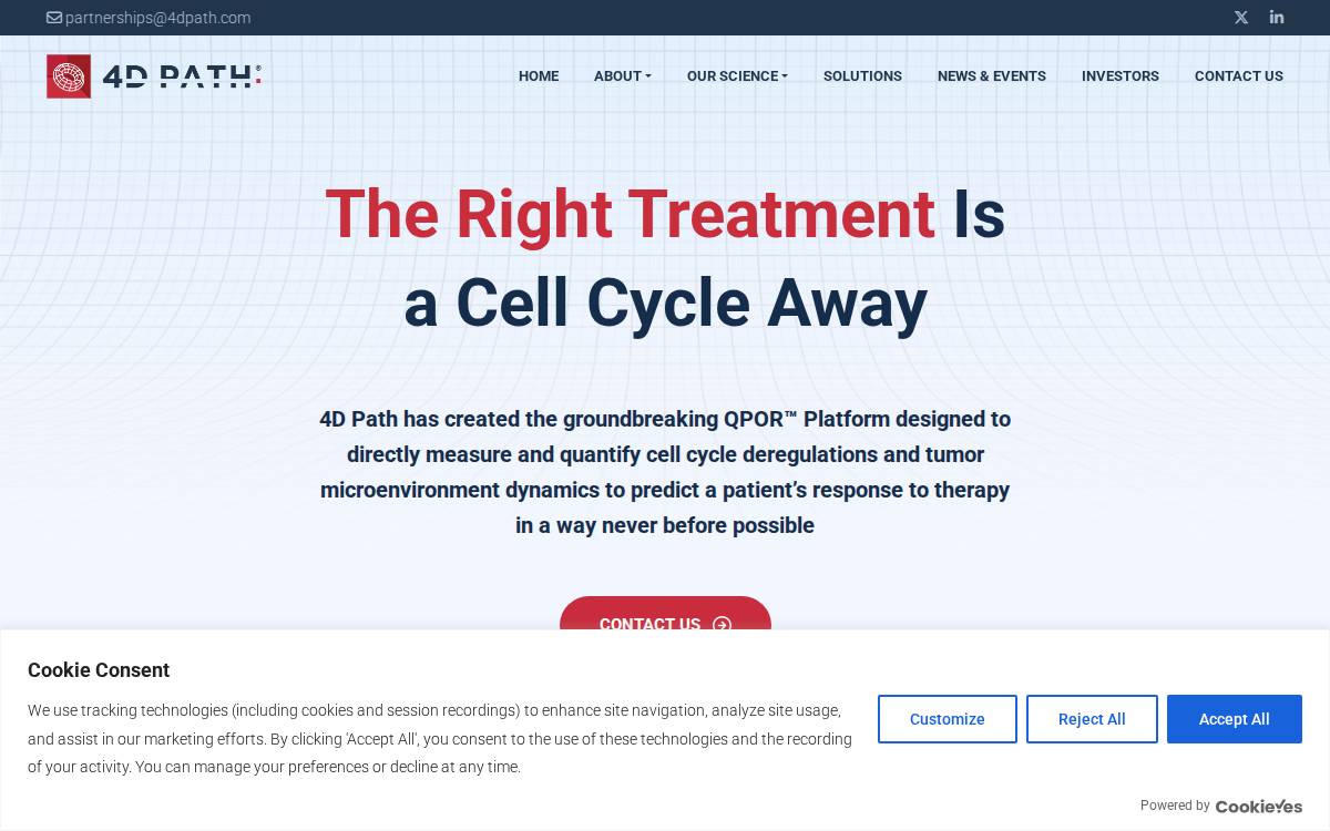 4D Path website preview