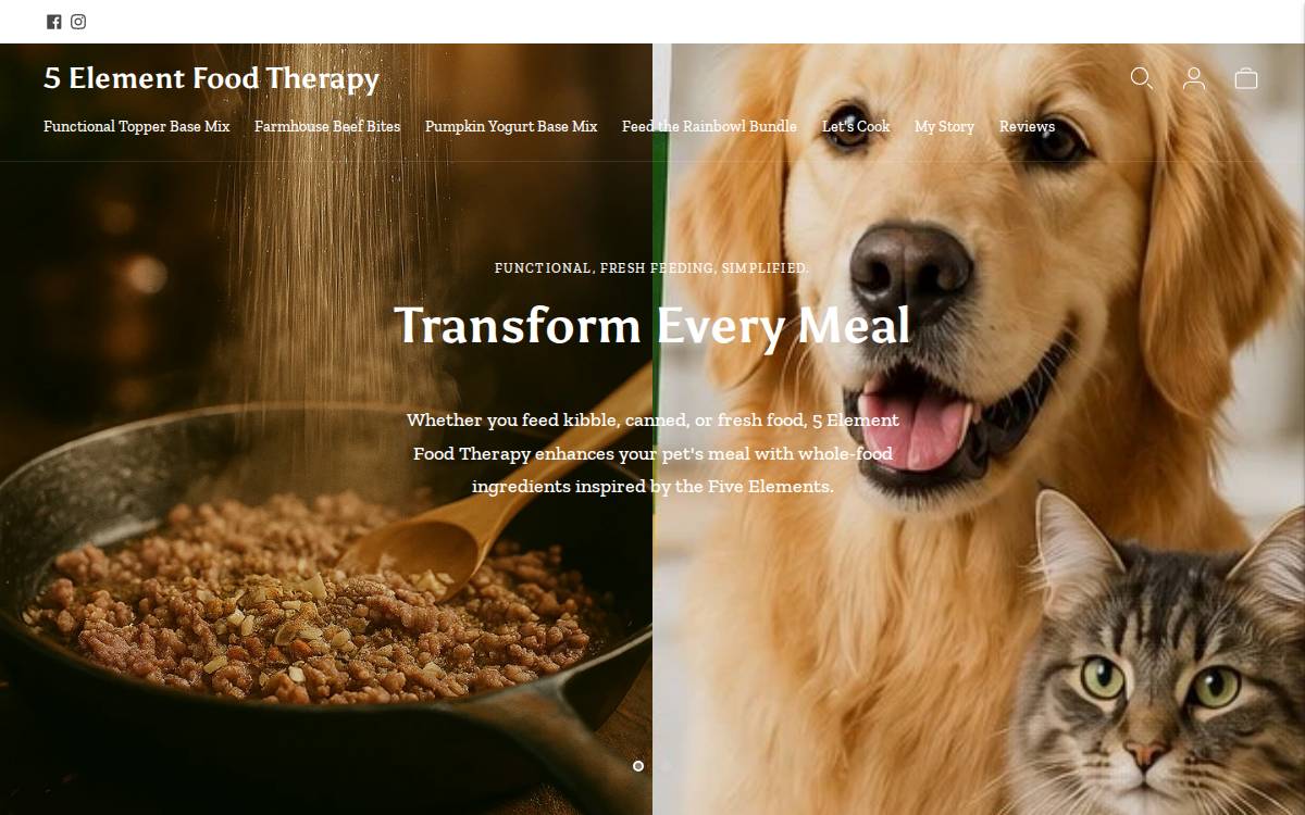 5Elementfoodtherapy website preview