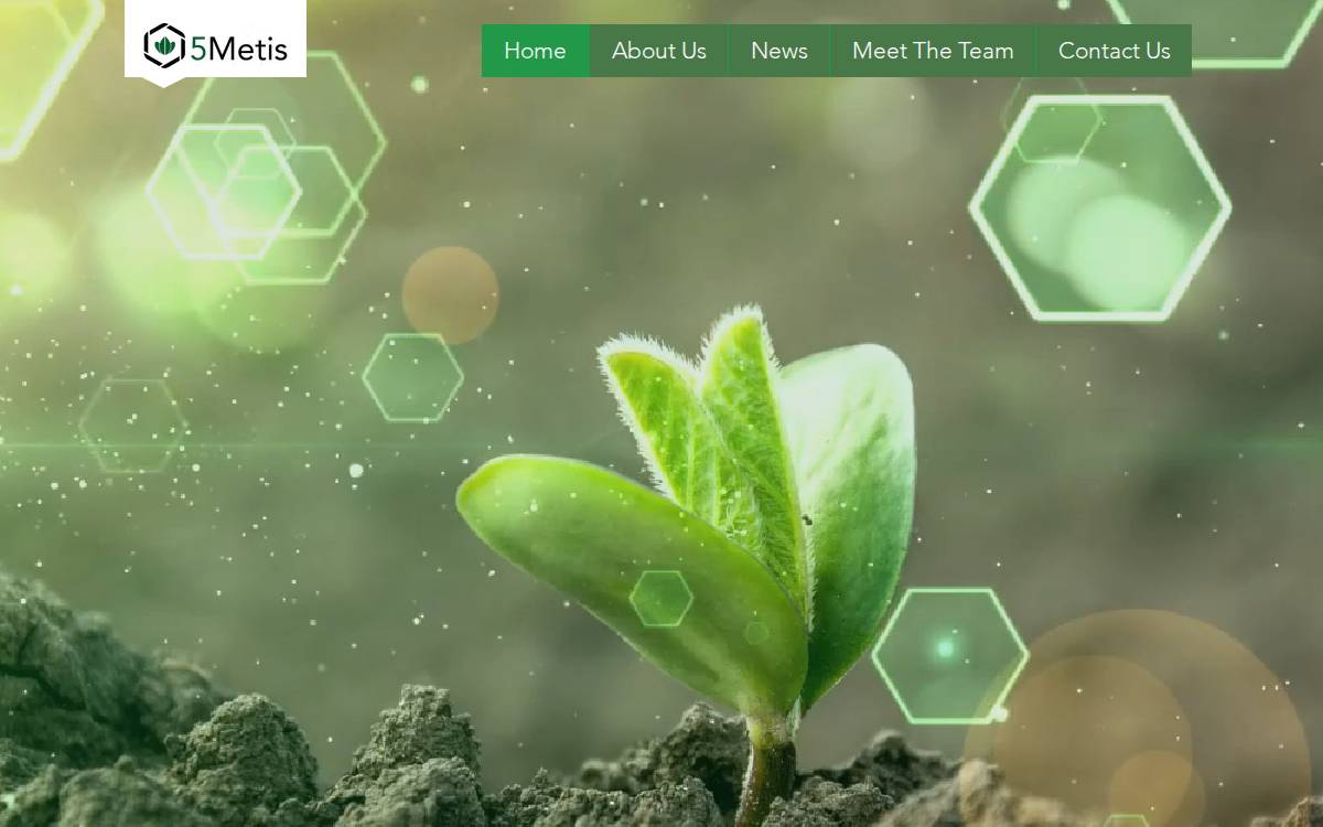 5Metis website preview