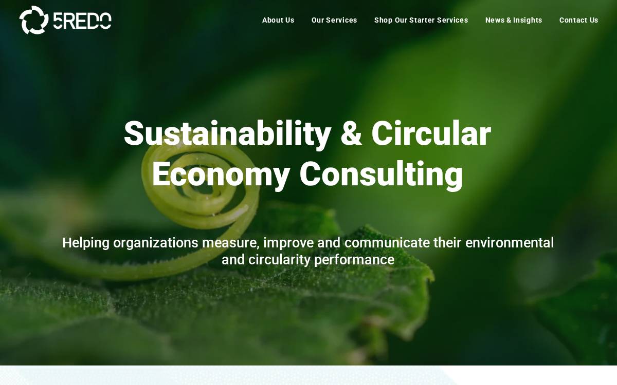 5REDO website preview
