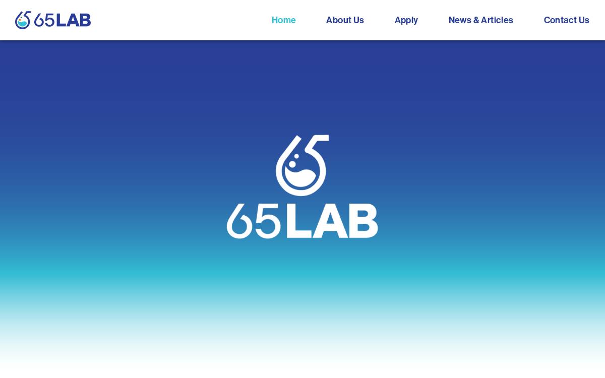 65LAB website preview
