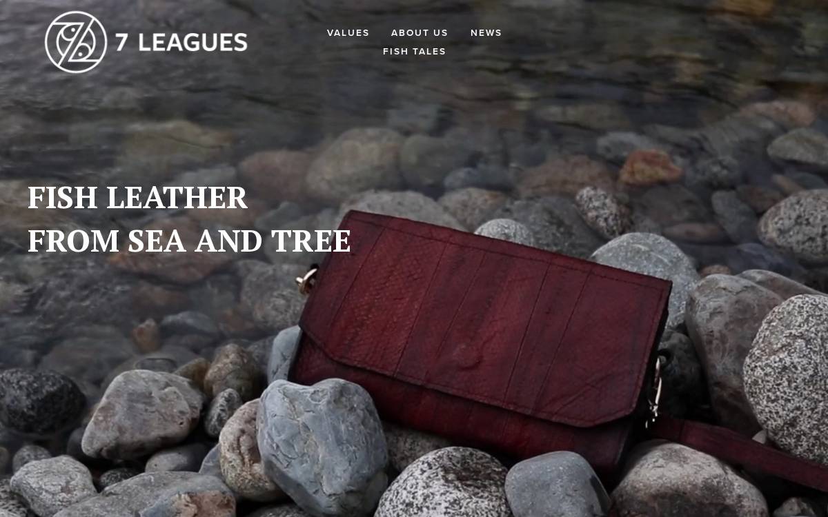 7 Leagues website preview