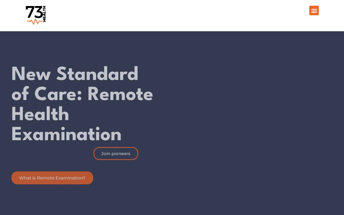 73Health website preview