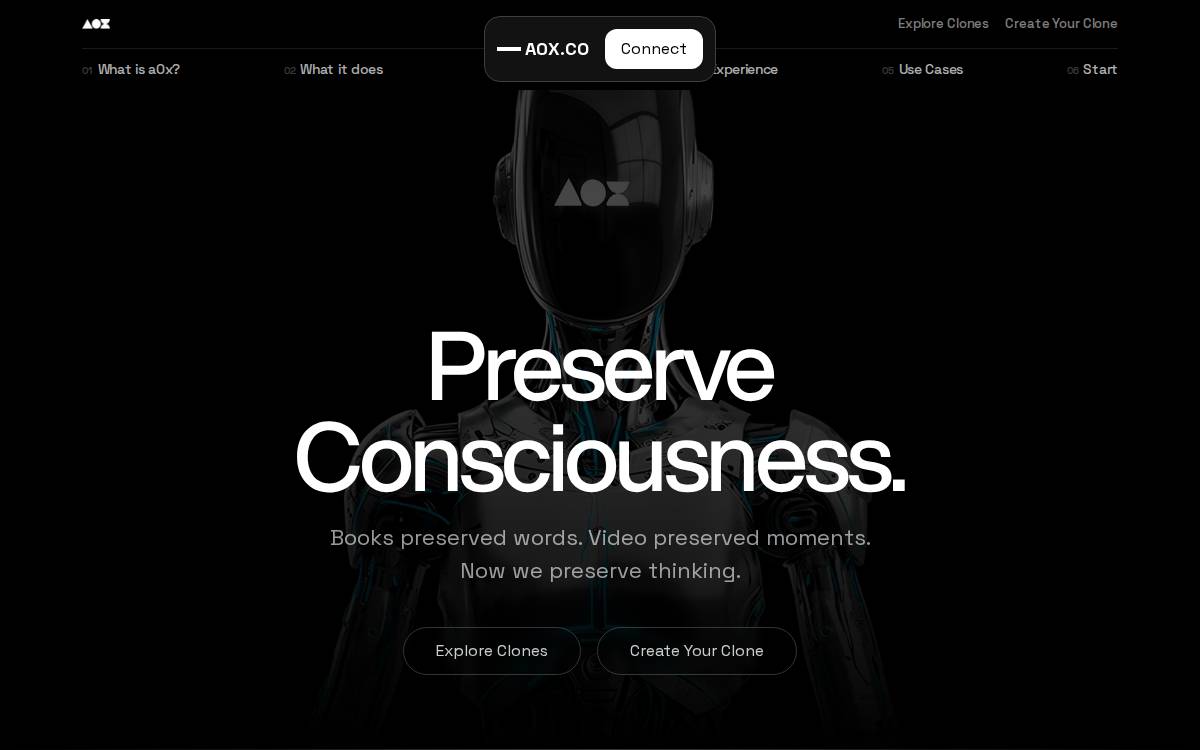 A0X website preview
