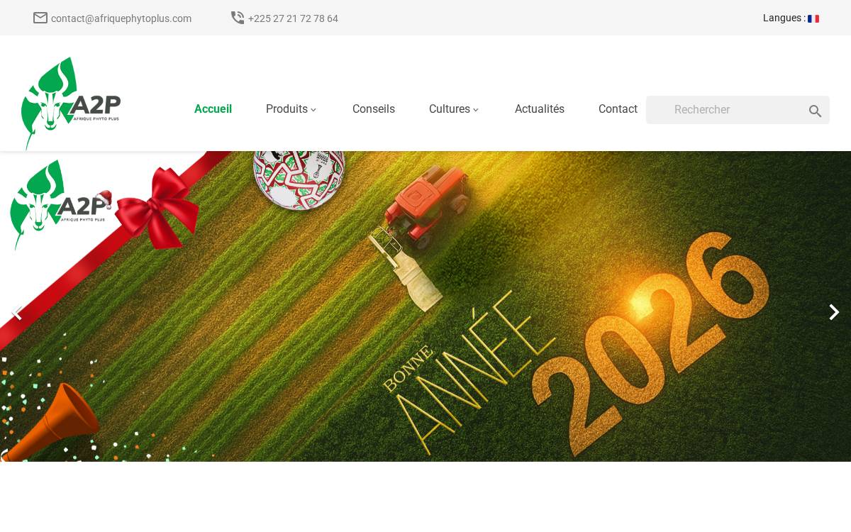 A2P website preview
