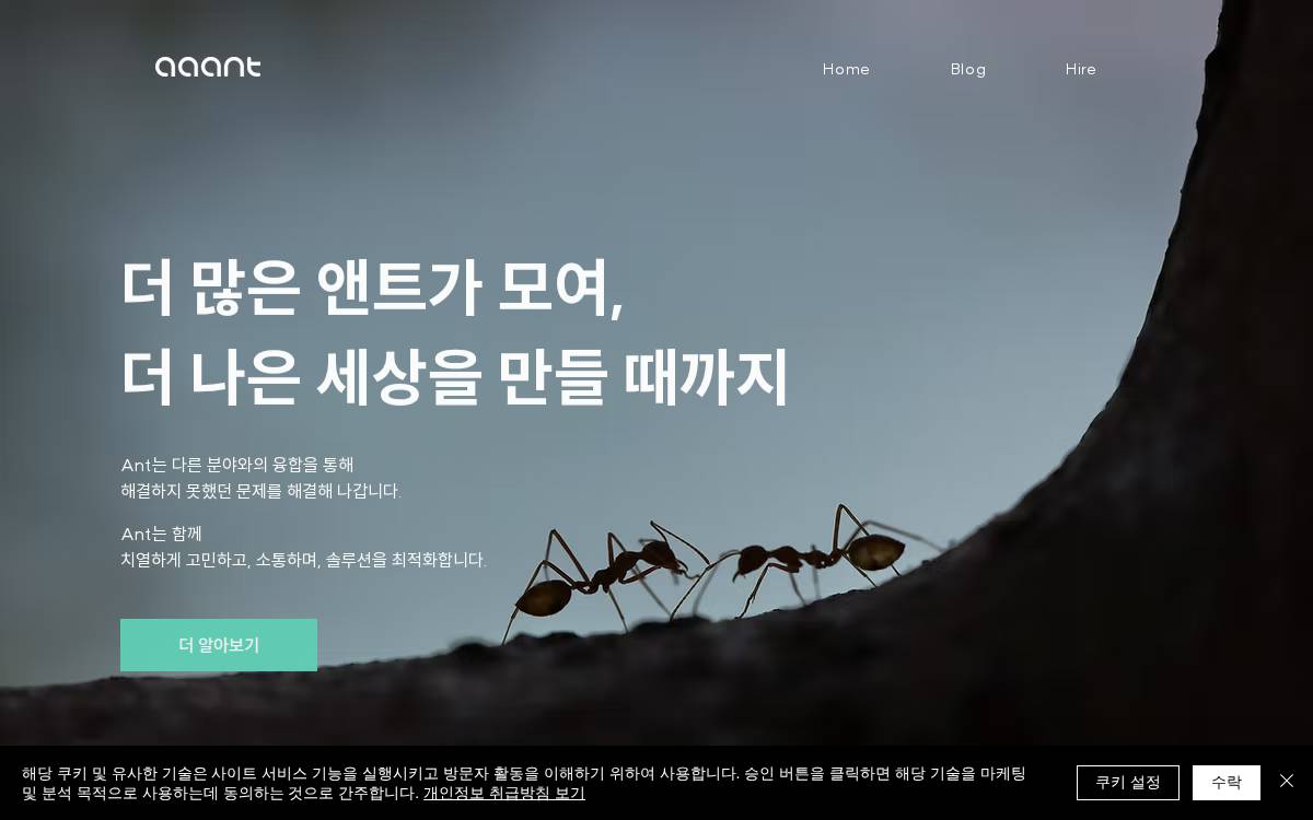 Aaant website preview