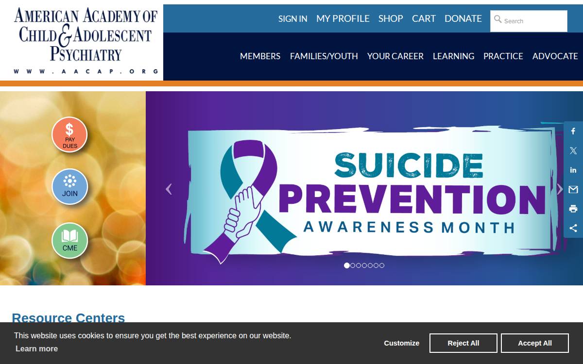 Aacap website preview