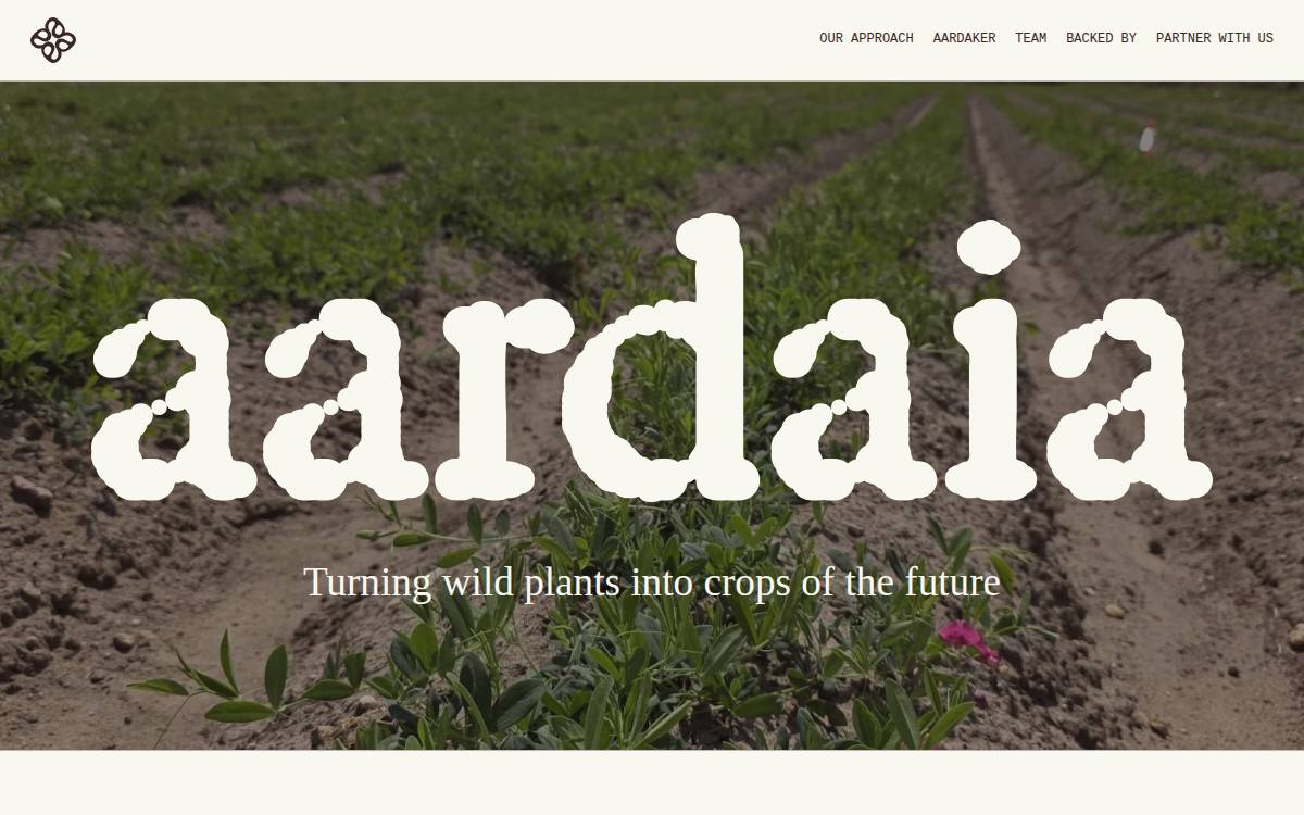 Aardaia website preview