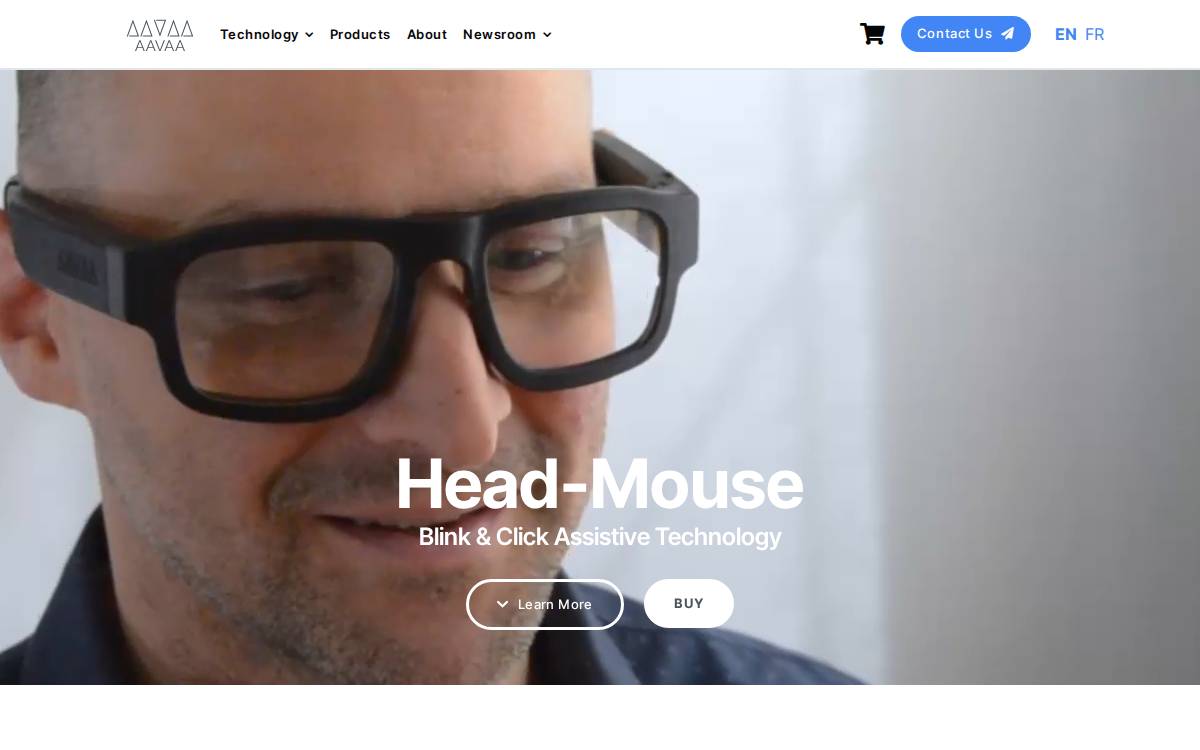 AAVAA website preview