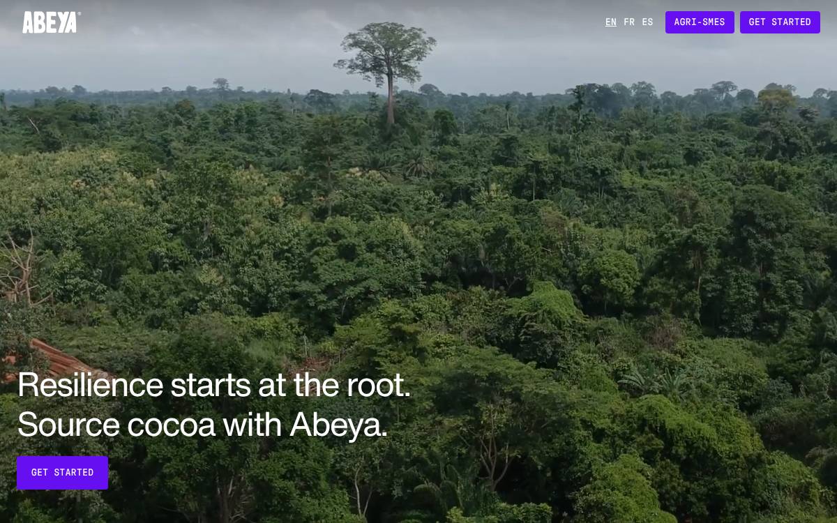 Abeya website preview