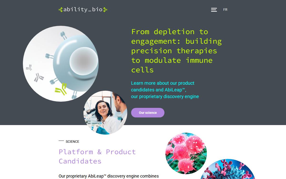 Ability website preview