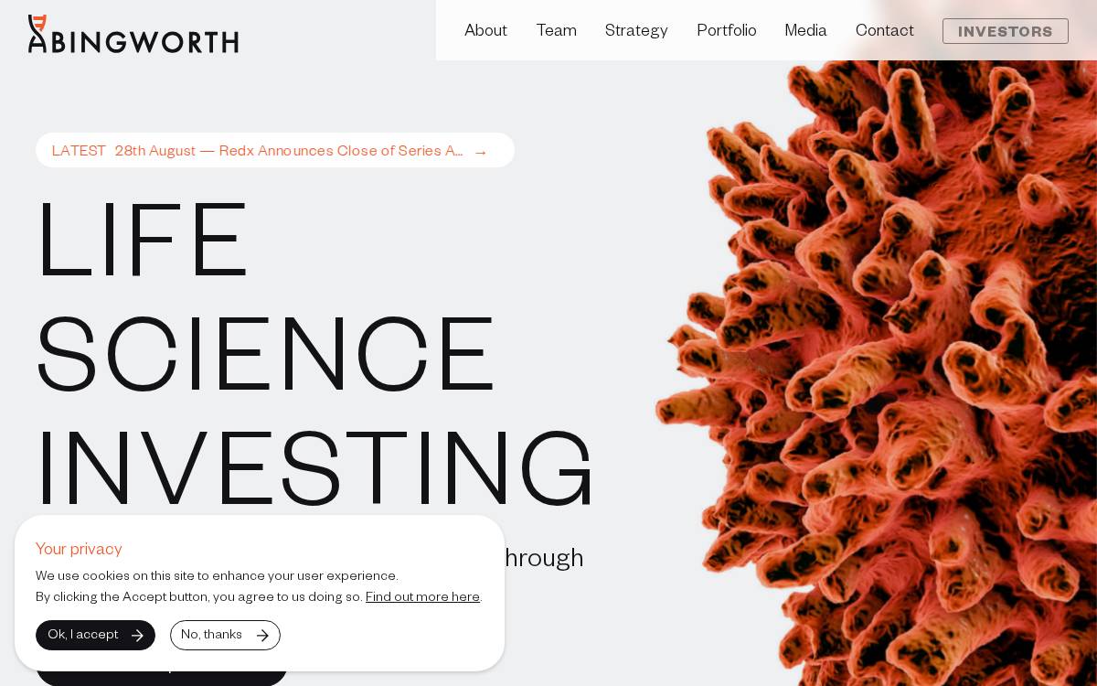 Abingworth website preview