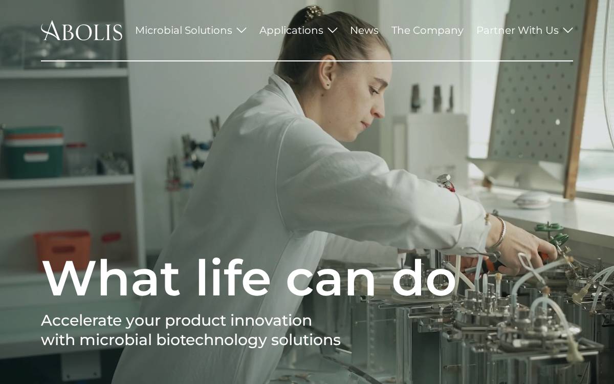 Abolis website preview