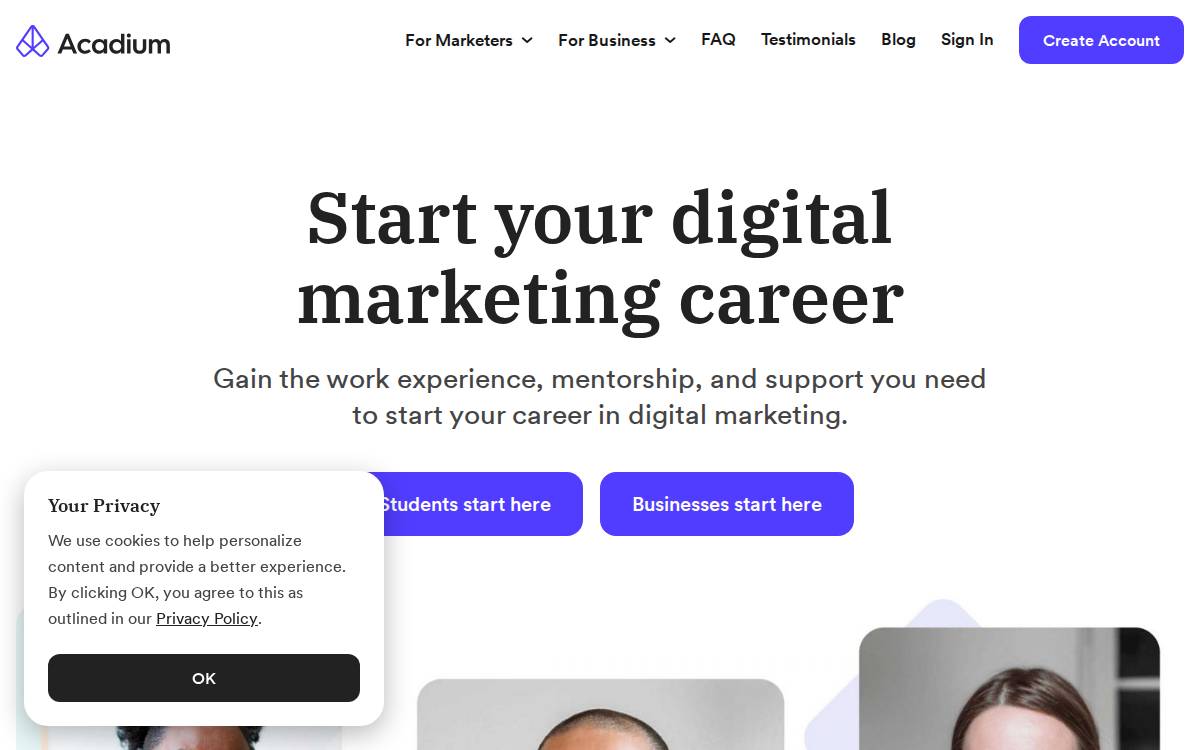 Acadium website preview