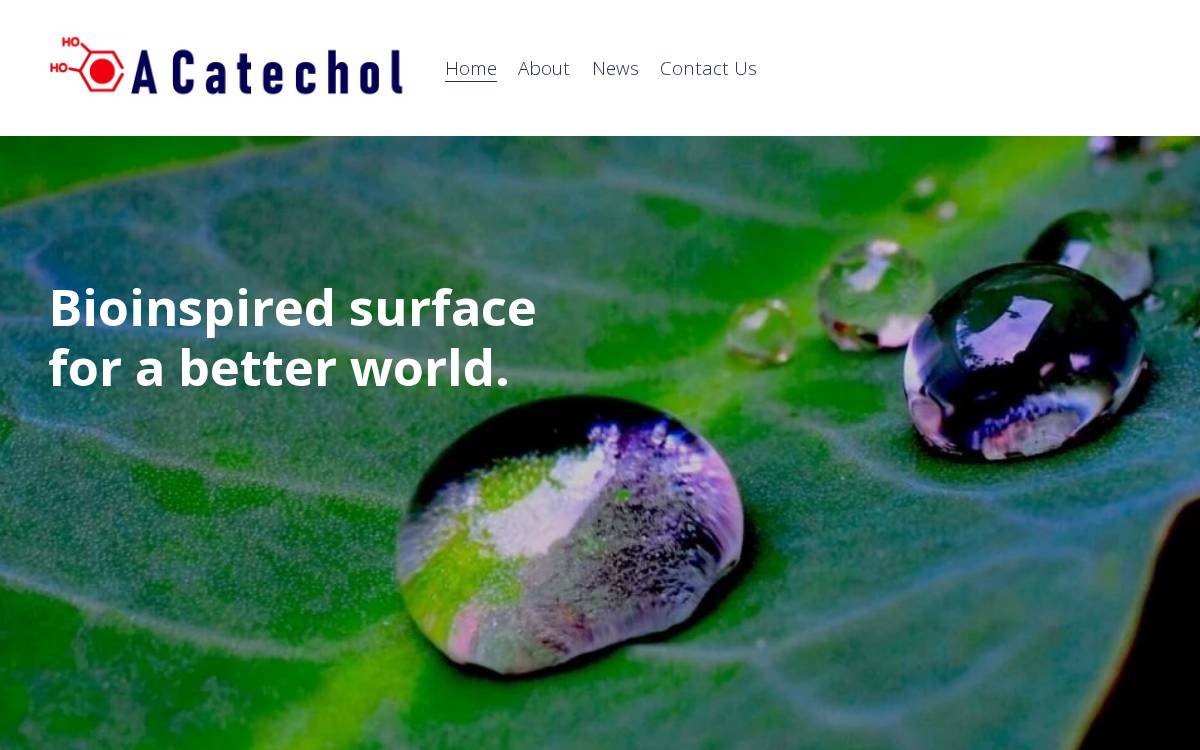 ACatechol website preview